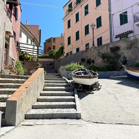 Daire Casa Cotone - Monolocale *